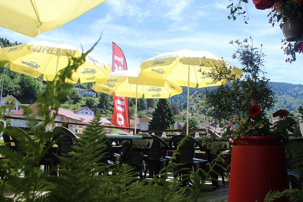 Hotel Les Bruyeres Вантрон Экстерьер фото